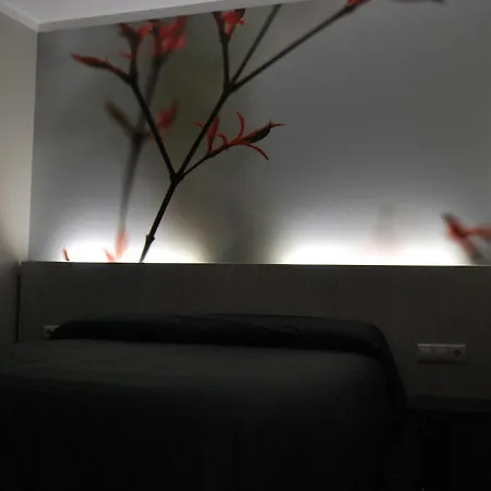 Aparthotel Meseguer