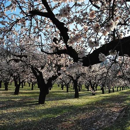 Apartmanhotel Meseguer